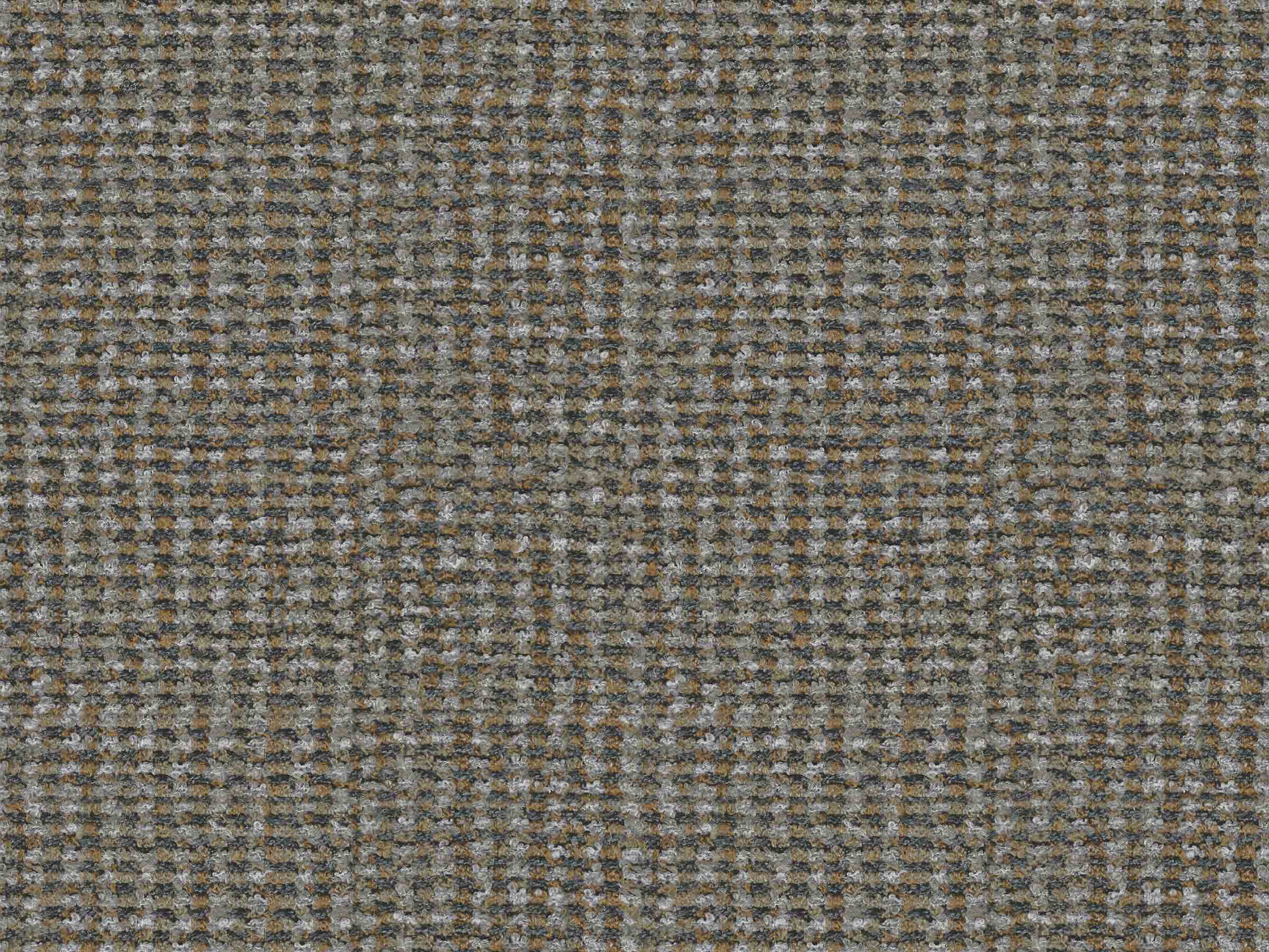 S82-PAPUL