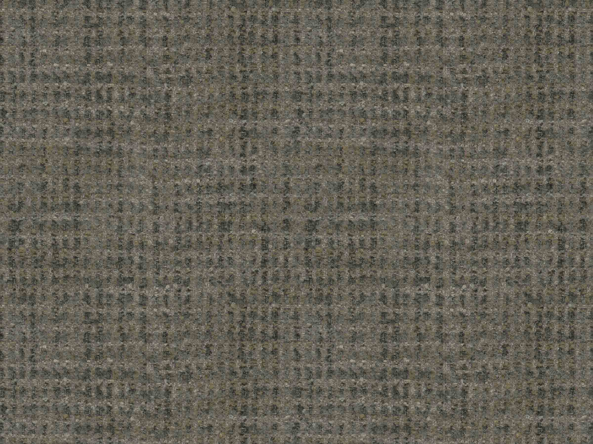 S81-PAPUL