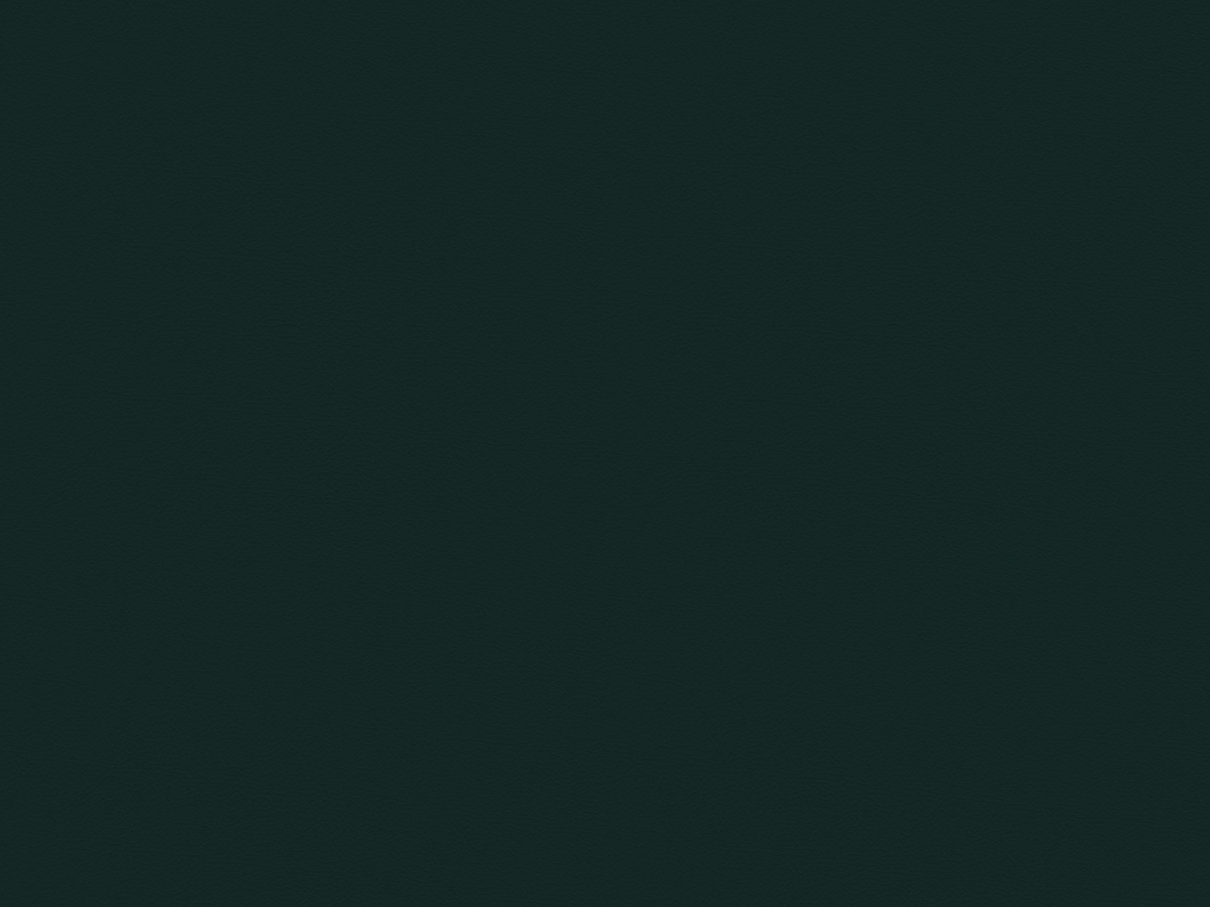 V89-MALDIVE