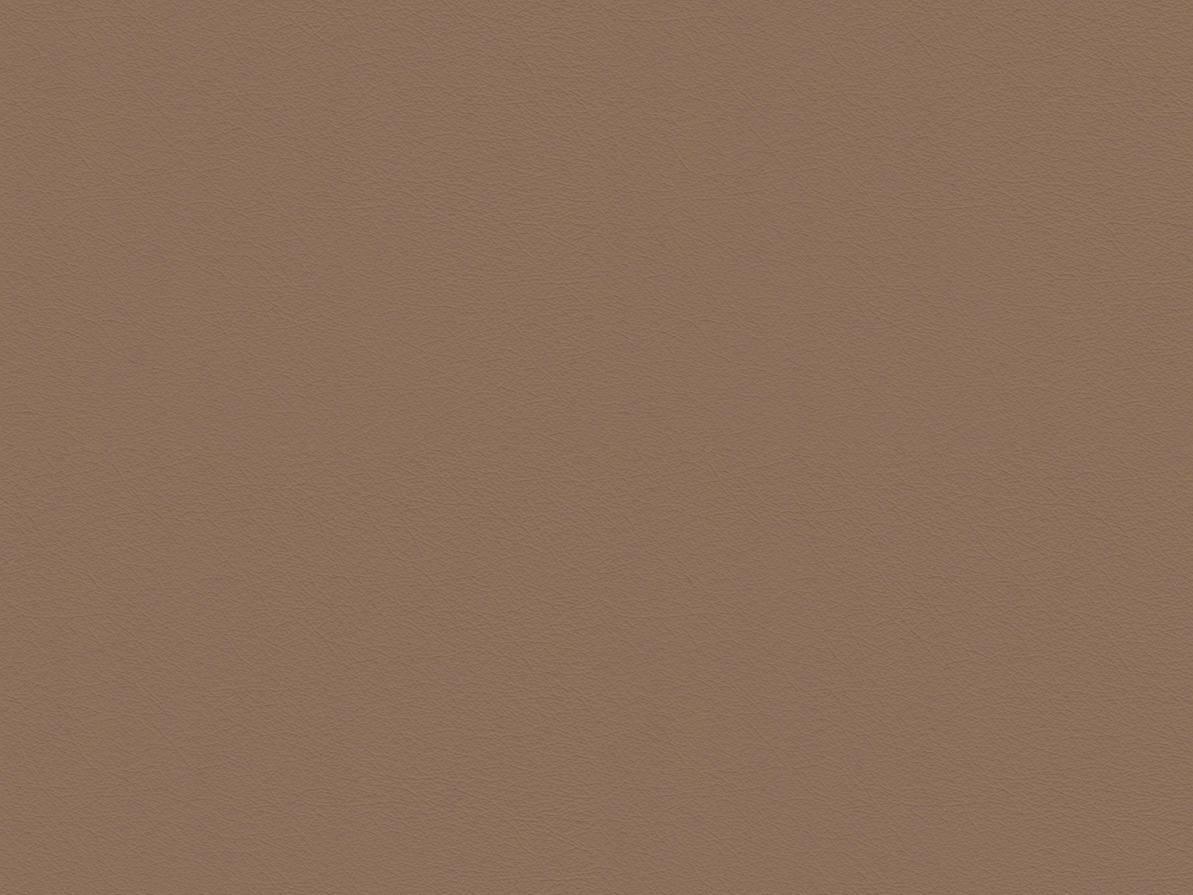 Çizgi - Y55